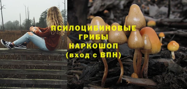 Альфа ПВП Волоколамск