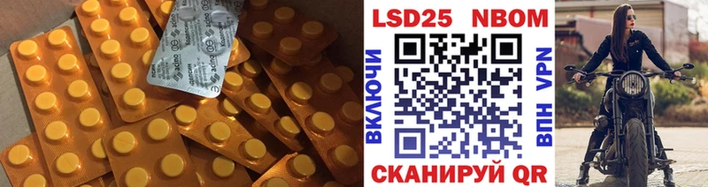 дарнет шоп  Зеленогорск  Лсд 25 экстази кислота 