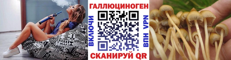 Галлюциногенные грибы Magic Shrooms Зеленогорск